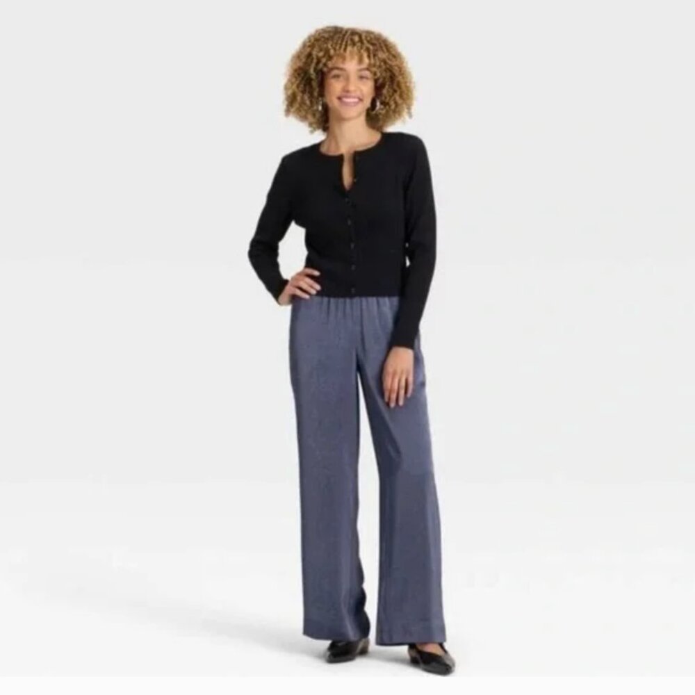 Target A New Day Women's Crinkled Satin Pull-On Pants